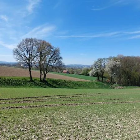 Mona Апартаменты